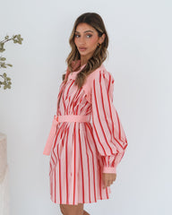 Josiane Pink Stripe Dress | Women's Striped Shirt Dress